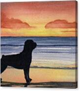 Rottweiler At Sunset Canvas Print