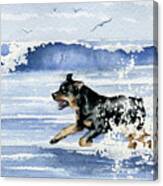 Rottweiler At The Beach Canvas Print