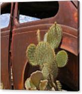 Route 66 Cactus Canvas Print