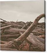 Ruby Beach No. 10 Canvas Print