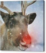 Rudolph Canvas Print