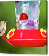 Rufous Hummingbird Digital Oil Canvas Print