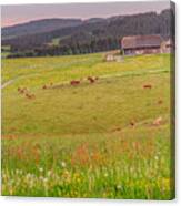 Rural Black Forest Landscape Canvas Print
