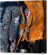 Rust Scapes #6 Canvas Print
