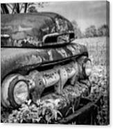 Rusty Ford In The Country Black And White Canvas Print