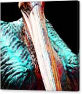 Rusty - Pelican Art Painting By Sharon Cummings Canvas Print