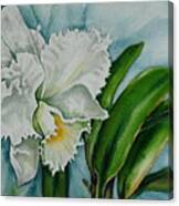 Ruth's Orchid Canvas Print