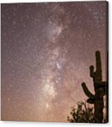 Saguaro Cactus And Milky Way Canvas Print