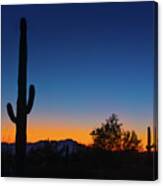 Saguaro Cactus Silhouette at Sunset - Tucson - Arizona Photograph by ...