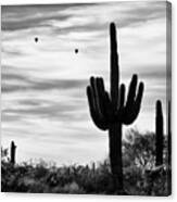 Saguaro Cactus With Hot Air Balloons Canvas Print
