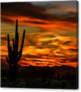 Saguaro Sunset H51 Canvas Print