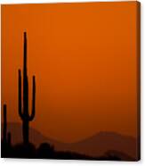 Saguaro Sunset Canvas Print