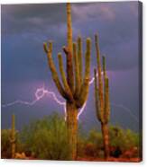 Saguaro With Lightning Az Canvas Print