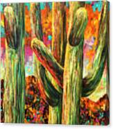 Saguaros At Sunset Canvas Print