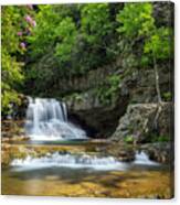 Saint Mary's Falls Among The Rododendrons Canvas Print