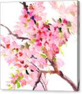 Sakura Cherry Blossom Canvas Print