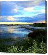 Salt Marsh Canvas Print