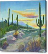 Salutation To The Tucson Sun Canvas Print