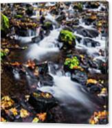 Salvation Creek In Columbia River Gorge Canvas Print