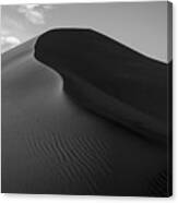 Sand Dune Beetle Tracks Canvas Print