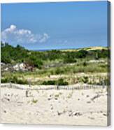 Sand Dune In Cape Henlopen State Park - Delaware Canvas Print