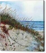 Sand Dunes And Sea Oats Canvas Print