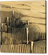 Sand Dunes Of The Outer Banks Canvas Print
