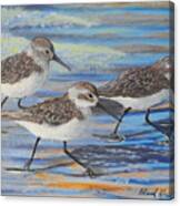 Sand Pipers Canvas Print