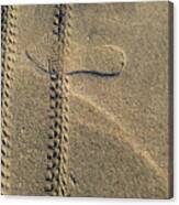 Sand Tracks Canvas Print
