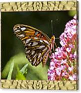 Sandflow Butterfly Canvas Print