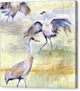 Wetlands Courtship - Sandhill Cranes Canvas Print