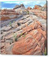Sandstone Crest In Valley Of Fire Canvas Print
