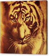 Sandy Tiger. Golden Canvas Print