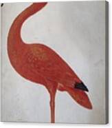 Scarlet Ibis With An Egg Canvas Print