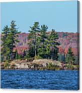 Scenic Fall View Canvas Print