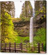 Scenic Waterfalls Canvas Print