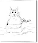 Schrodinger Cat Canvas Print