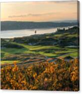 Scotch Broom -chambers Bay Golf Course Canvas Print