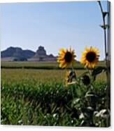 Scotts Bluff Nebraska Sunflower Landscape View Canvas Print