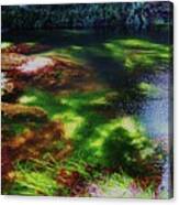 Sea Grass Canvas Print