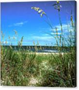 Sea Oat Dunes 11d Canvas Print