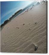 Sea Canvas Print