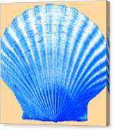 Sea Shell -blue On Sand Canvas Print