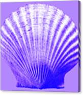 Sea Shell-purple Canvas Print