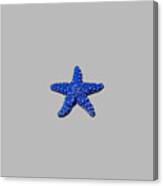Sea Star Navy Blue .png Canvas Print