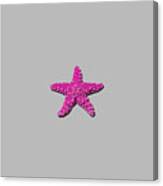 Sea Star Pink .png Canvas Print