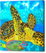 Sea Turtle And Parrotfish Canvas Print