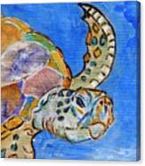 Sea Turtle Canvas Print