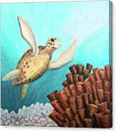 Sea Turtle Joy Canvas Print