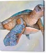 Sea Turtle- Twilight Swim Canvas Print